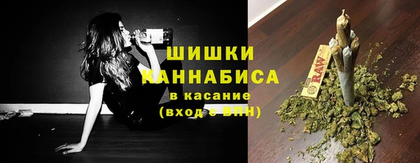 прущие грибы Костерёво