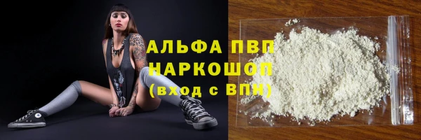 шишки Корсаков