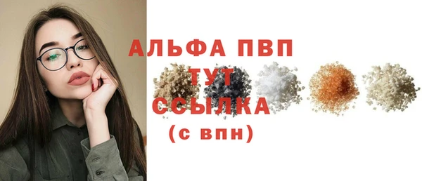 прущие грибы Костерёво