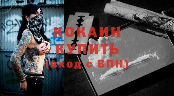 шишки Корсаков