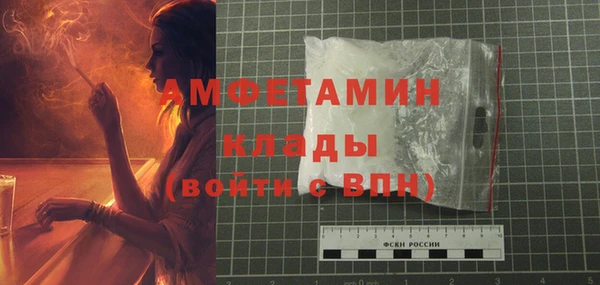 прущие грибы Костерёво